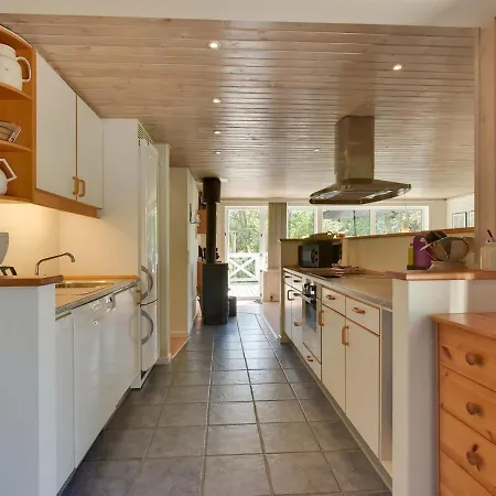 Lane - 675m From The Sea In Western Jutland By Interhome Holiday home